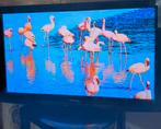 Panasonic viera 42", Ophalen of Verzenden, Zo goed als nieuw, Panasonic