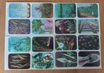 16 gravures sur acier 1958 Monocotylédones, Collections, Comme neuf, Nature, 1940 à 1960, Enlèvement ou Envoi