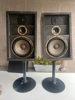 vintage Audio profesional ap 50 boxen op statief, Audio, Tv en Foto, Luidsprekerboxen, Ophalen, Zo goed als nieuw