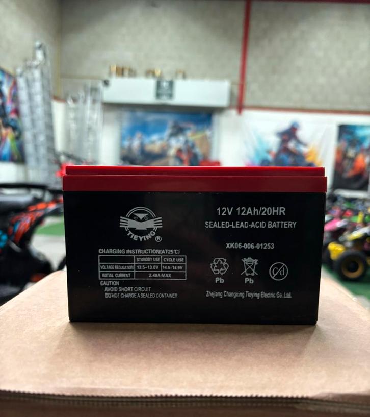 Nieuw Accu 12V 12Ah Voor Elektrische Kinderquad, Kinderen en Baby's, Speelgoed | Buiten | Accuvoertuigen, Nieuw, Ophalen of Verzenden