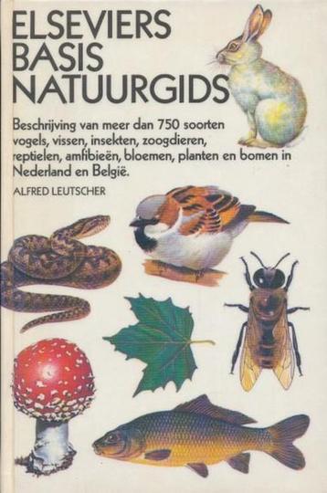 boek :Elseviers veldgids/kooivogelgids/stenengids/natuurgids beschikbaar voor biedingen