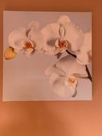 Fotokaders Orchidee (x3), Ophalen, Zo goed als nieuw