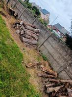 Brandhout gratis, Ophalen