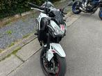 Z900 Full Power 2024, Particulier, Overig