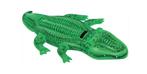 Crocodile gonflable Intex, Enfants & Bébés, Jouets | Extérieur | Figurines gonflables, Enlèvement, Neuf