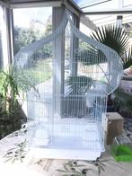 Vogelkooi te koop., Ophalen, Zo goed als nieuw, Vogelkooi