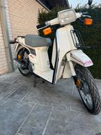 Prachtige honda scoopy b klasse topstaat, Fietsen en Brommers, Ophalen, Cilinder, Honda