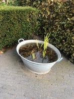 zinken kuip, Tuin en Terras, Bloembakken en Plantenbakken, Ophalen, Gebruikt, Overige materialen, Tuin