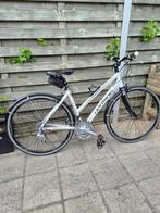 dames sportfiets Olympia superleggera, 28 inch, Gebruikt, 47 tot 50 cm, Meer dan 20 versnellingen