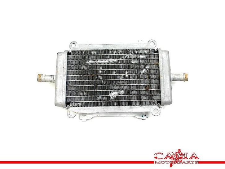 RADIATEUR GTS 300 2014-2017 (GTS300 Super ZAPMA3300), Motoren, Onderdelen | Overige, Gebruikt