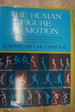 la figure humaine en mouvement, Comme neuf, Autres sujets/thèmes, Eadweard Muybridge, Enlèvement ou Envoi