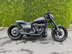 Harley-Davidson, Autre, Particulier, 2 cylindres, Plus de 35 kW