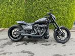Harley-Davidson, Motoren, Motoren | Harley-Davidson, 2 cilinders, Particulier, Meer dan 35 kW, Overig