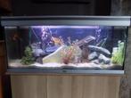 Te koop Aquarium, Ophalen, Gebruikt, Gevuld zoetwateraquarium