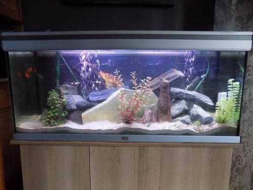 Te koop Aquarium, Dieren en Toebehoren, Vissen | Aquaria en Toebehoren, Gebruikt, Gevuld zoetwateraquarium, Ophalen