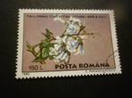 Roemenië/Roumanie 1995 Mi 5131(o) Gestempeld/Oblitéré, Timbres & Monnaies, Timbres | Europe | Autre, Envoi
