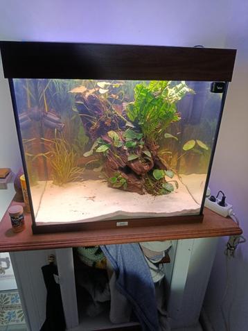 Aquariul Juwel Lido 120L  beschikbaar voor biedingen