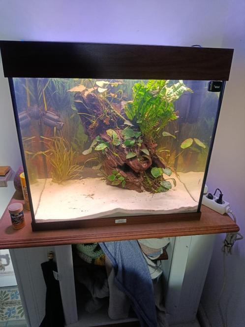 Aquariul Juwel Lido 120L, Dieren en Toebehoren, Vissen | Aquaria en Toebehoren, Zo goed als nieuw, Leeg aquarium, Ophalen