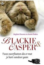 Blackie en Casper, Stephen Downes, Ophalen of Verzenden, Zo goed als nieuw, Katten
