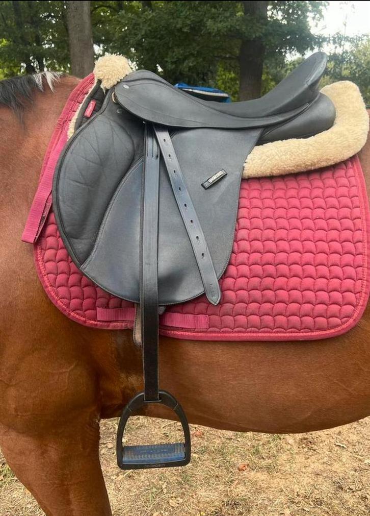 Wintec 17inch, Dieren en Toebehoren, Paarden en Pony's | Zadels, Zo goed als nieuw, Recreatie, Ophalen