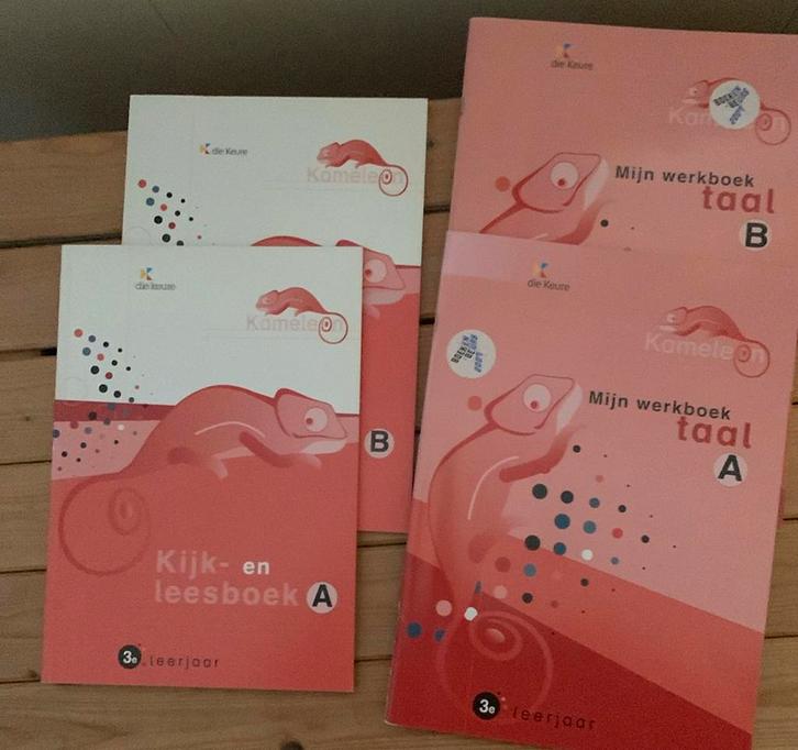 Kameleon kijk en leesboek 3a/b + mijn wb 3a/b, Boeken, Schoolboeken, Zo goed als nieuw, Nederlands, Ophalen