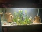 Aquarium 120 litres, Animaux & Accessoires, Enlèvement, Utilisé