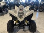 Kymco Maxxer 50 S, Motoren, Quads en Trikes, 11 kW of minder, 50 cc