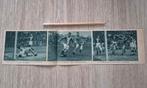 Krantenartikel: Union-Tubantia Sportwereld 1931, Ophalen of Verzenden