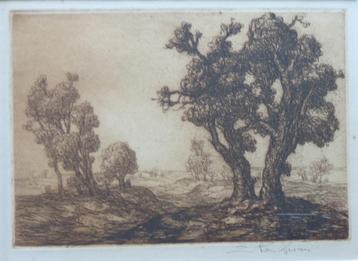 EDMOND VAN DOOREN / BOMEN IN LANDSCHAP / ZW-W ETS / 36x42cm beschikbaar voor biedingen