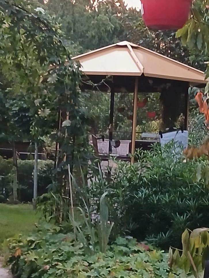 Twee prachtige zeshoekige volières, Dieren en Toebehoren, Vogels | Toebehoren, Gebruikt, Overige typen, Ophalen