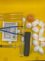 Starterset Camponotus Herculeanus mieren, Dieren en Toebehoren, Insecten en Spinnen, Mieren