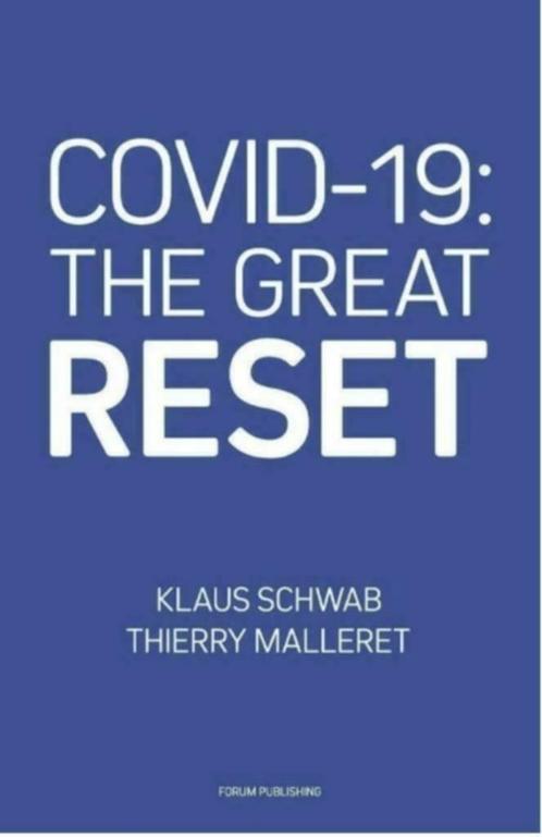 Covid-19: The great reset PDF, Klaus Schwab & Thierry Maller, Boeken, Politiek en Maatschappij, Nieuw, Ophalen of Verzenden