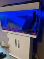 Aquarium Juwel, Dieren en Toebehoren, Ophalen, Zo goed als nieuw, Leeg aquarium
