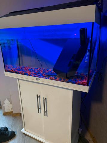 Aquarium Juwel beschikbaar voor biedingen
