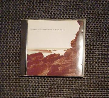 CD: Polygon Window: Surfing on sine waves (Zomba, Warp) beschikbaar voor biedingen