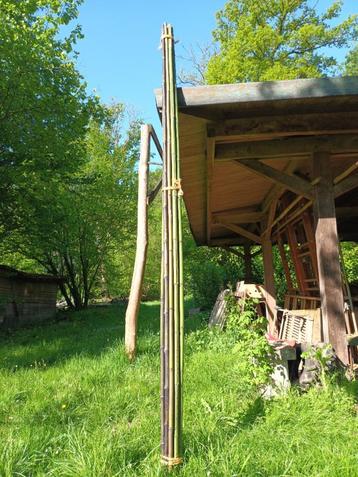 Bamboe bundel(10 stuks), Tuin en Terras, Ophalen, Nieuw