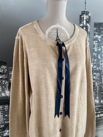 NIEUW bruine / beige cardigan - Baker Bridge - L beschikbaar voor biedingen