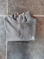 Polo Ralph Lauren maat M, Maat 48/50 (M), Ophalen of Verzenden, Grijs, Polo Ralph Lauren