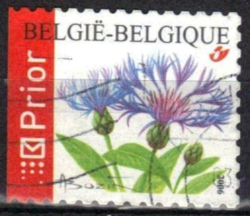 Belgie 2006 - Yvert 3533 /OBP 3548 - Korenbloem (ST)