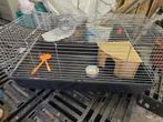 cage à lapin, Animaux & Accessoires, 75 à 110 cm, Hamster, Enlèvement, Utilisé