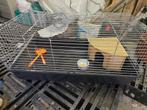 cage à lapin, Animaux & Accessoires, 75 à 110 cm, Hamster, Enlèvement, Utilisé