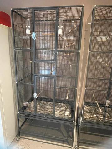 Grote mooie Vogelkooi met plexiglas beschikbaar voor biedingen