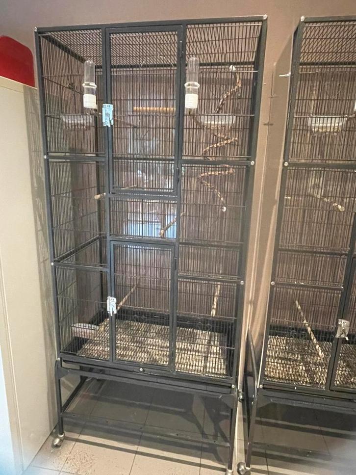 Grote mooie Vogelkooi met plexiglas, Dieren en Toebehoren, Vogels | Hokken en Kooien, Vogelkooi, Ophalen