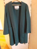 Manteau Max Mara neuf, Vêtements | Femmes, Autre, Taille 42/44 (L), Neuf, Vert