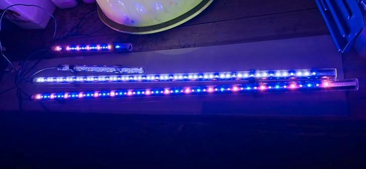 Diverse technieken zeeaquarium, Dieren en Toebehoren, Vissen | Aquaria en Toebehoren, Zo goed als nieuw, Ophalen