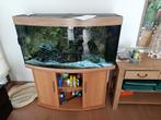 aquarium, Dieren en Toebehoren, Ophalen, Zo goed als nieuw, Gevuld zoetwateraquarium