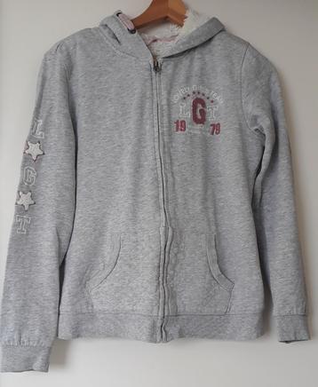 Pull à capuche Doudoune Gris Enfant Taille 158/164