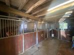 4 paardenstallen, Dieren en Toebehoren, Stalling en Weidegang, Weidegang, 4 paarden of pony's of meer