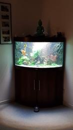 Juwel hoek aquarium, Dieren en Toebehoren, Ophalen, Gebruikt, Leeg aquarium