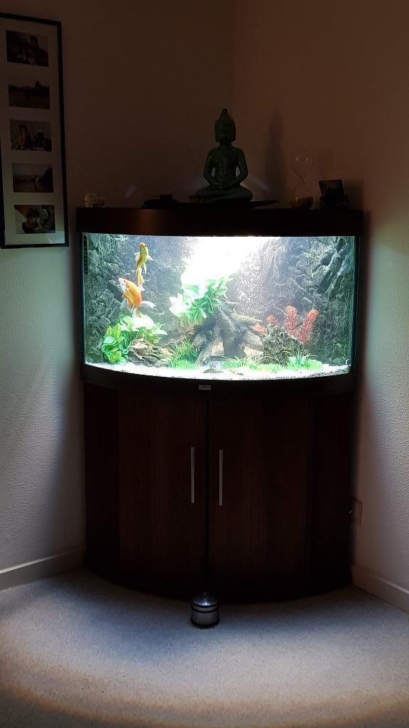 Juwel hoek aquarium, Dieren en Toebehoren, Vissen | Aquaria en Toebehoren, Gebruikt, Leeg aquarium, Ophalen